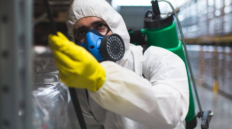 Why choose Mice Removal Laveen for mice removal in Laveen
